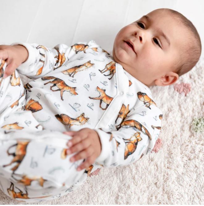 Dexter the Fox Sleepsuit Baby Modelled