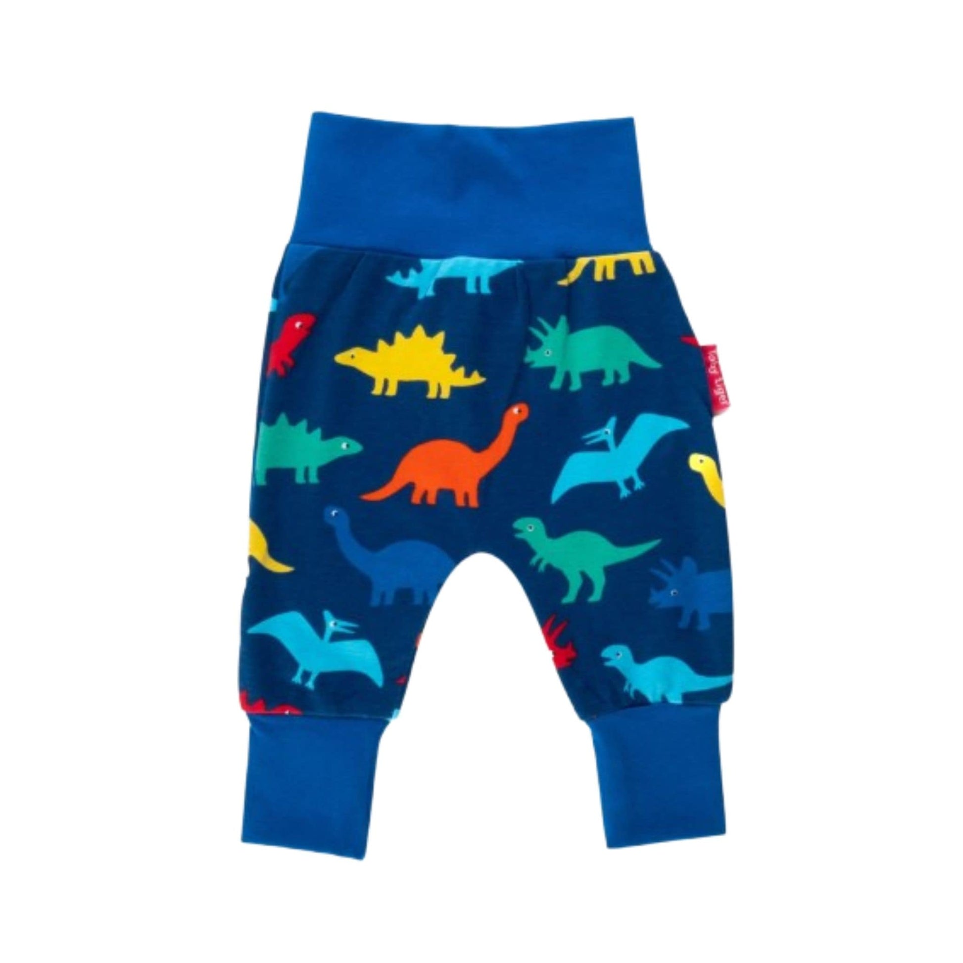 Dinosaur Baby Yoga Pants